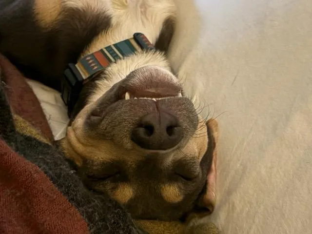 Axel