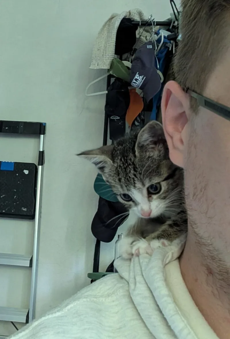 Willow thumbnail 3