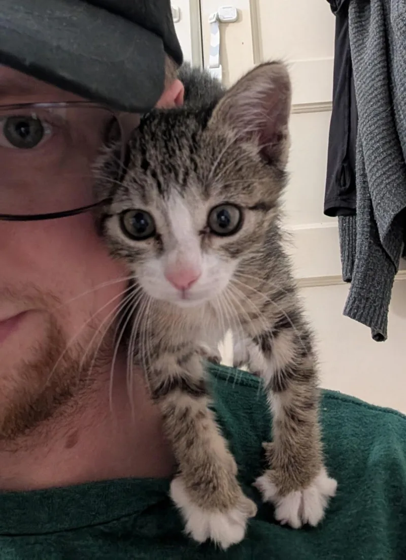 Willow thumbnail 5