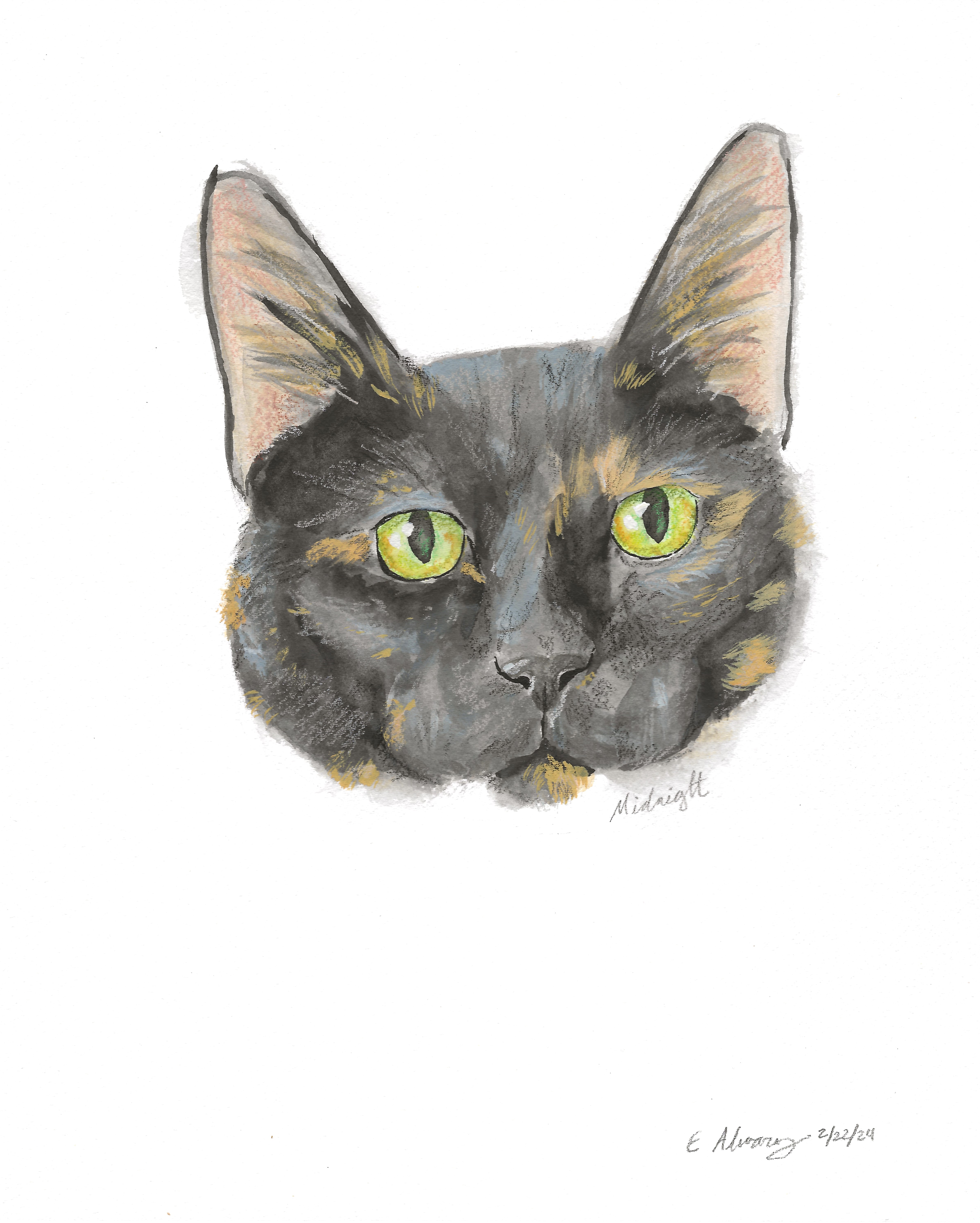 Midnight thumbnail 3