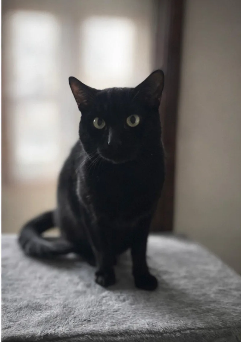 Nebraska thumbnail 2