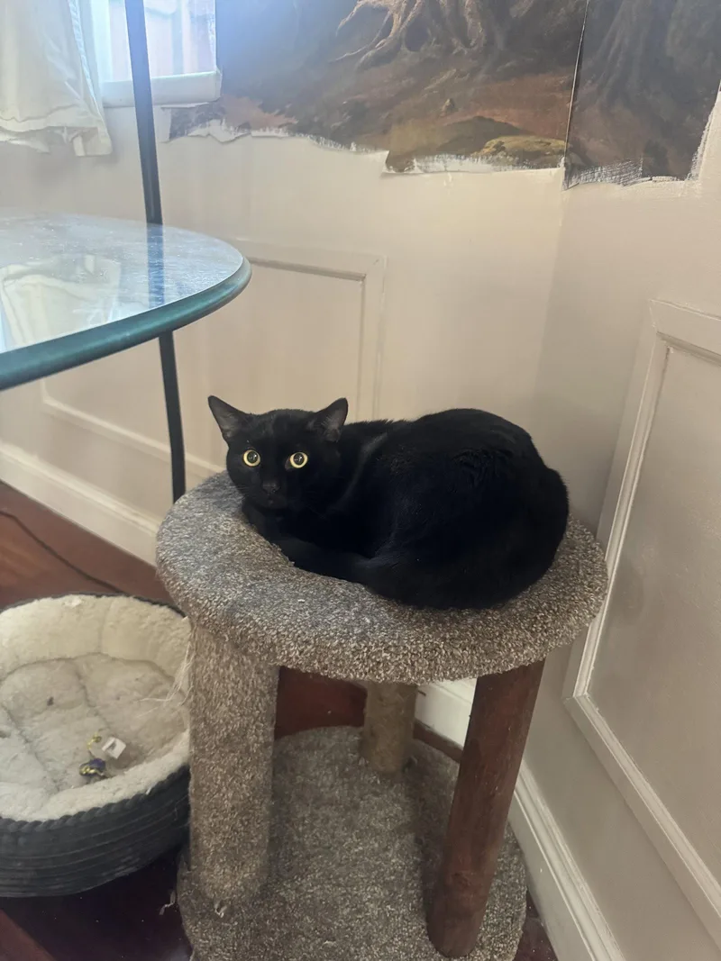 Nebraska thumbnail 3