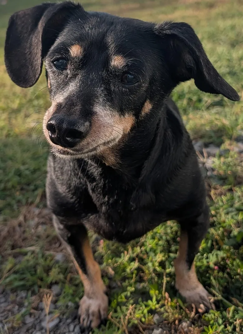 Otto in TN
