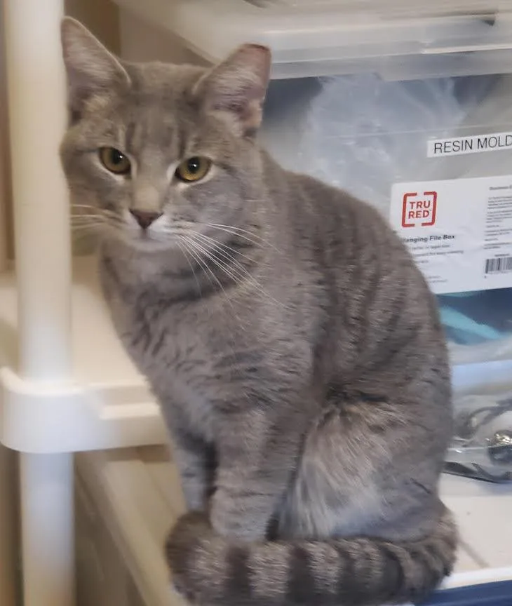 Jerrysearching For A Caring thumbnail 2