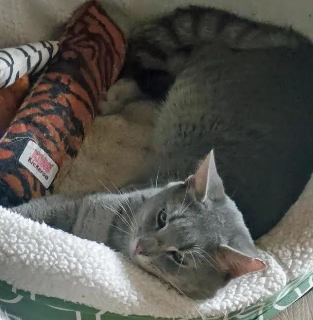 Jerrysearching For A Caring thumbnail 3