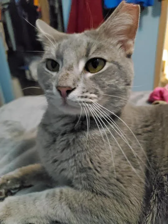 Jerrysearching For A Caring thumbnail 4