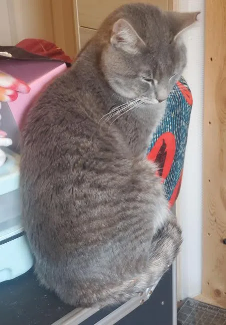 Jerrysearching For A Caring thumbnail 5