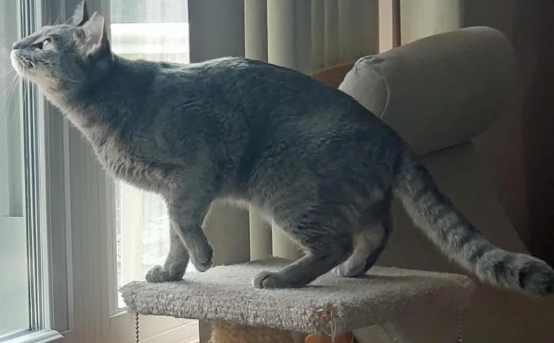 Jerrysearching For A Caring thumbnail 6