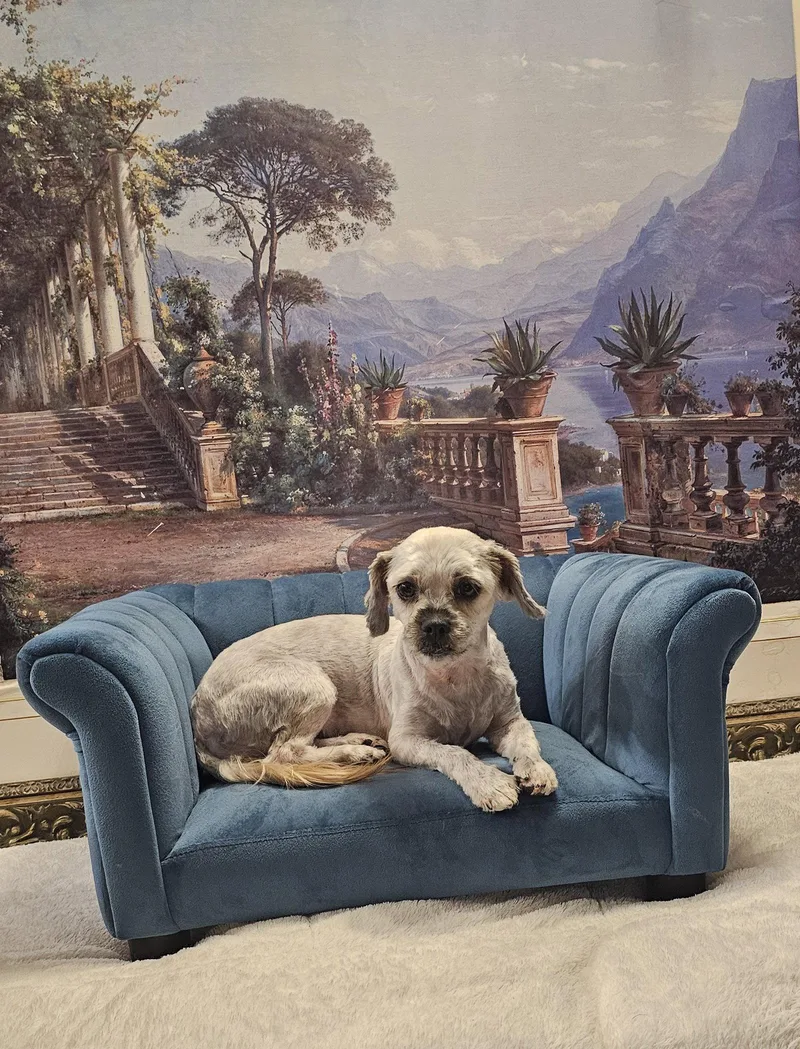 Pepper Professional High Jumper thumbnail 2