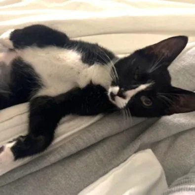 Venus Sisterofcharm thumbnail 2