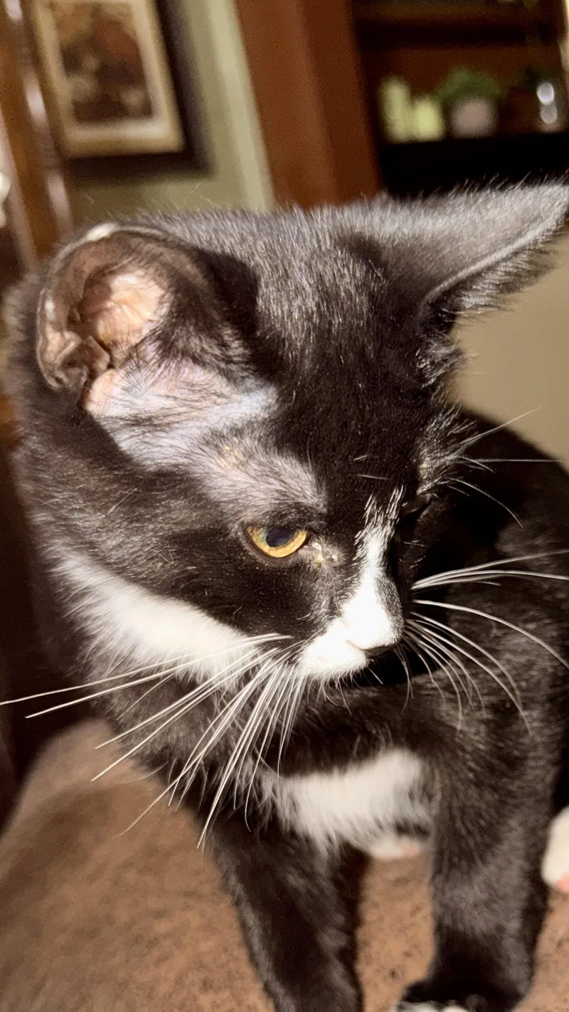 Charlie thumbnail 3