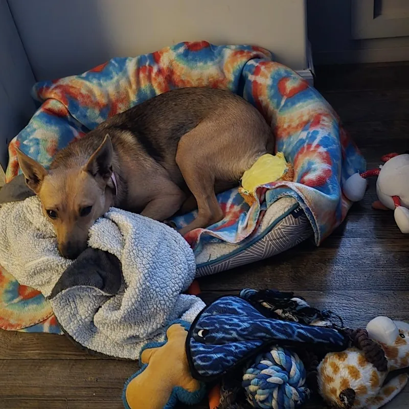 Elide Lochan thumbnail 2