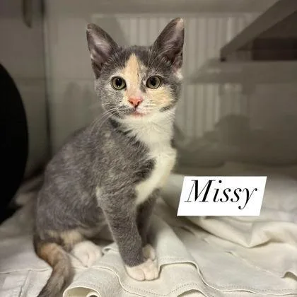 Missy
