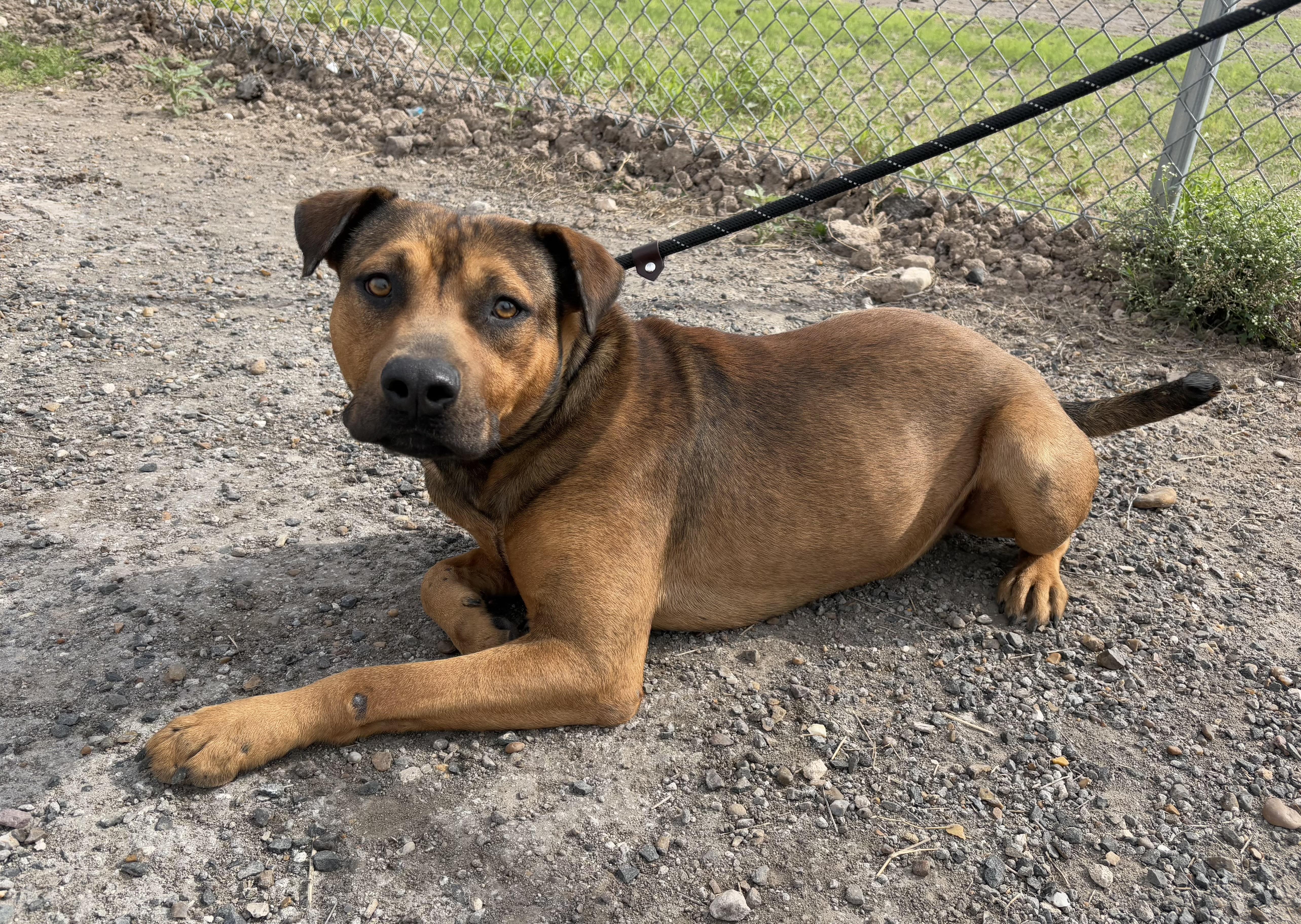 Chill Bill thumbnail 2