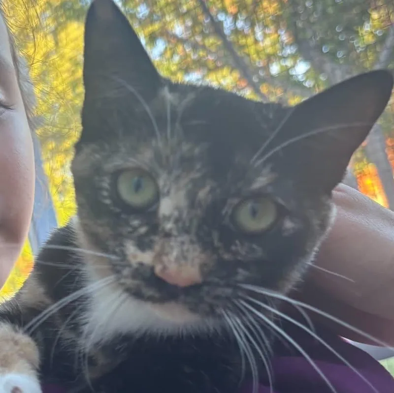 Rosie thumbnail 3