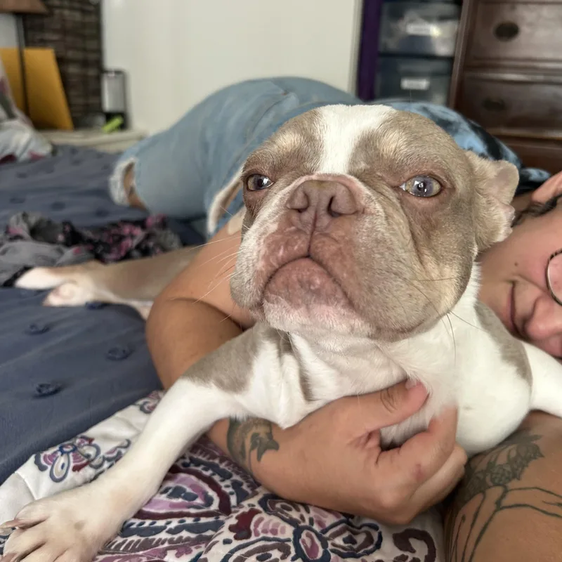 Delilah thumbnail 3