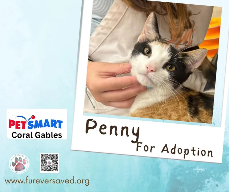 Penny thumbnail 4
