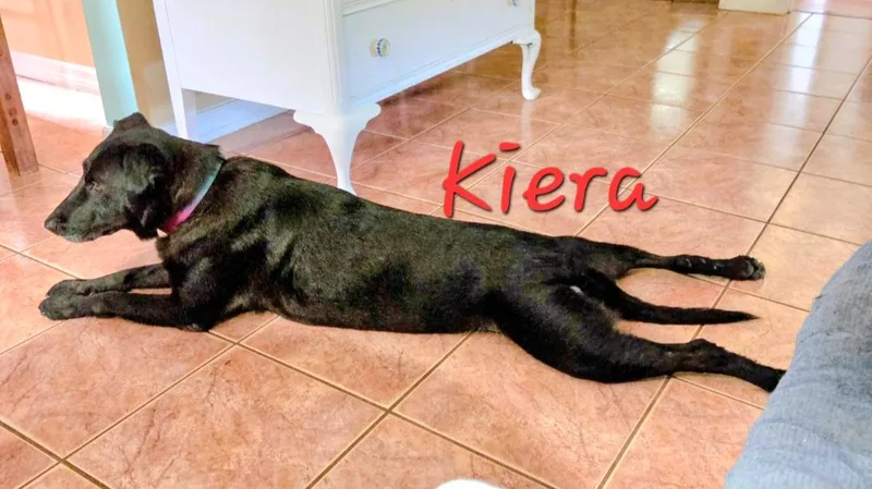 Kiera thumbnail 2