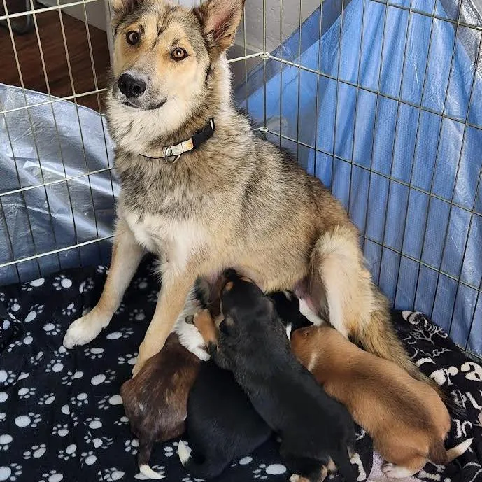 Automatic thumbnail 2