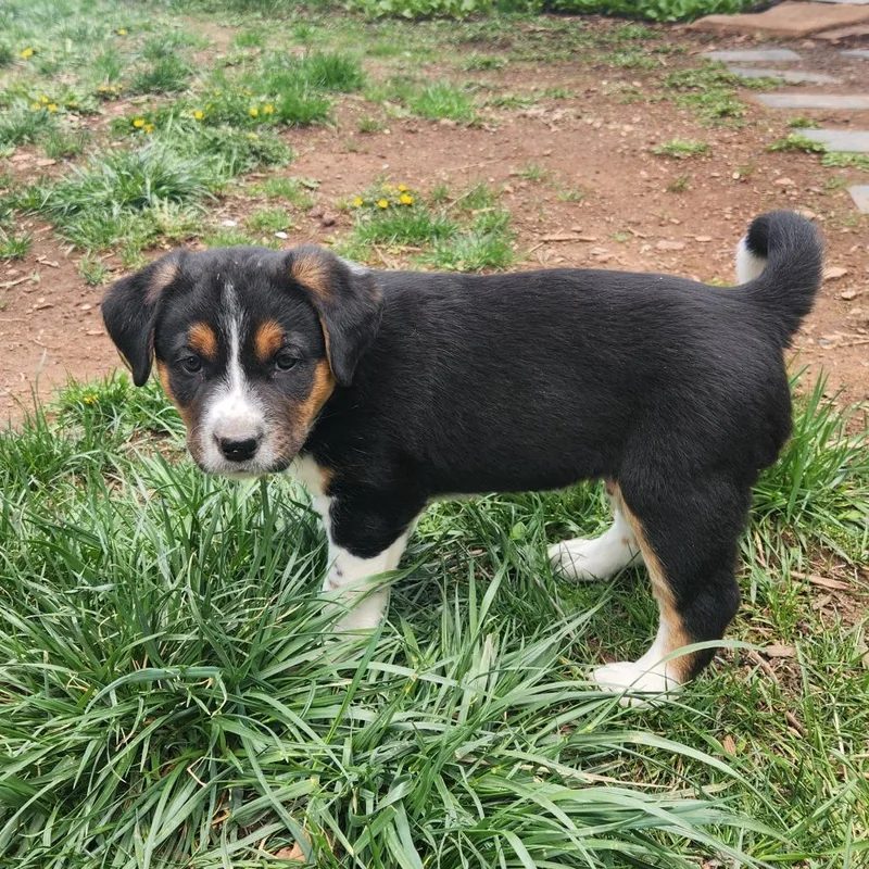 Automatic thumbnail 5