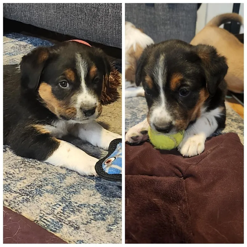 Automatic thumbnail 6