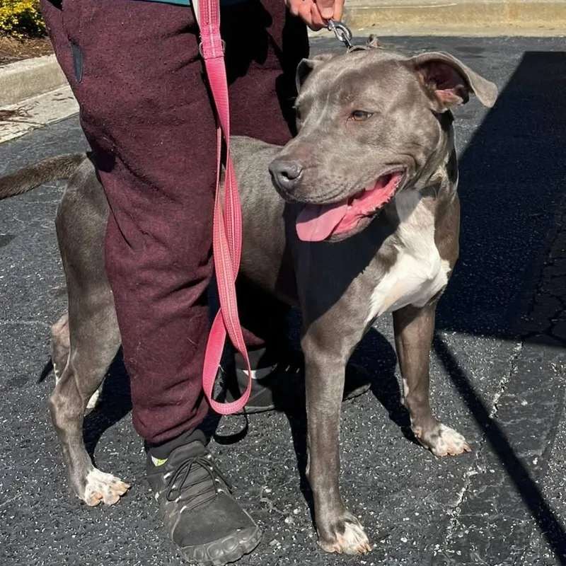 Willie  Gorgeous Athlete!! thumbnail 2