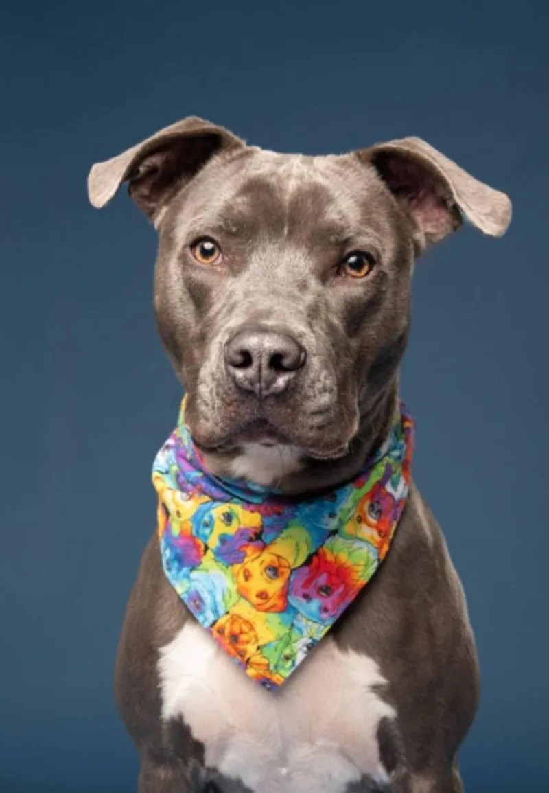 Willie  Gorgeous Athlete!! thumbnail 3