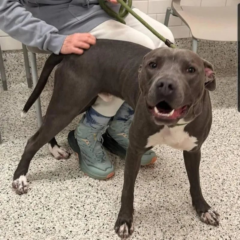 Willie  Gorgeous Athlete!! thumbnail 5