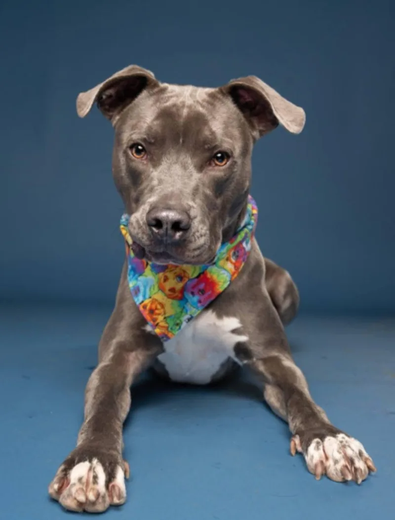 Willie  Gorgeous Athlete!!