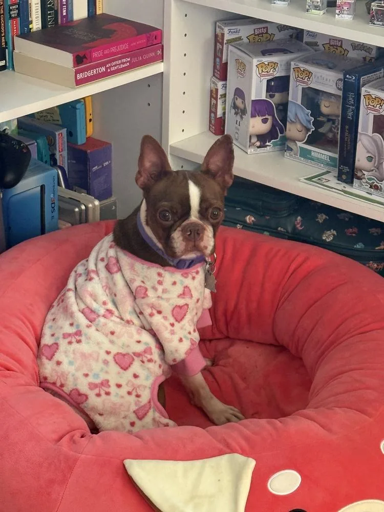 Ruby Shivers Ky thumbnail 2