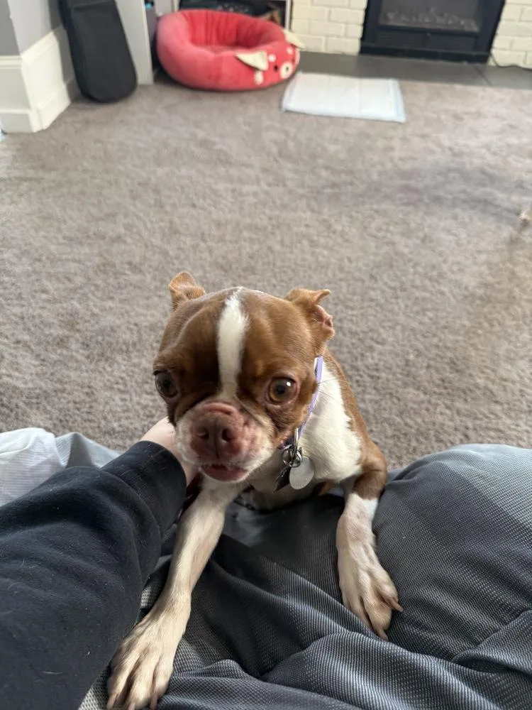 Ruby Shivers Ky thumbnail 3