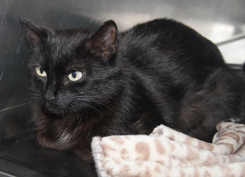 Mary Allen thumbnail 2