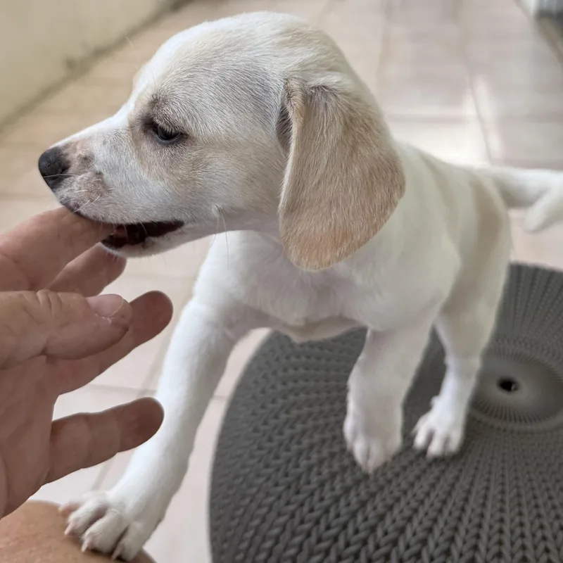 Baby thumbnail 2
