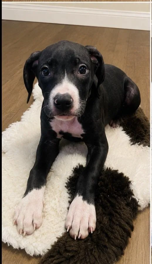Courtney thumbnail 2