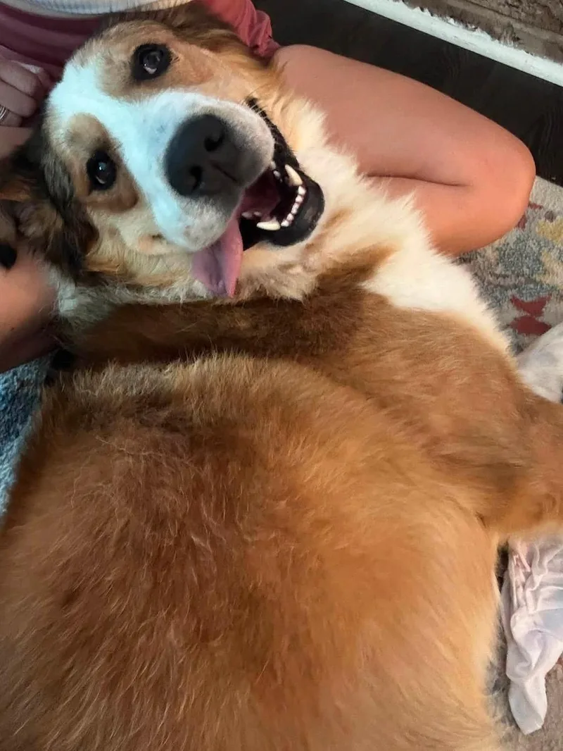Hank thumbnail 5