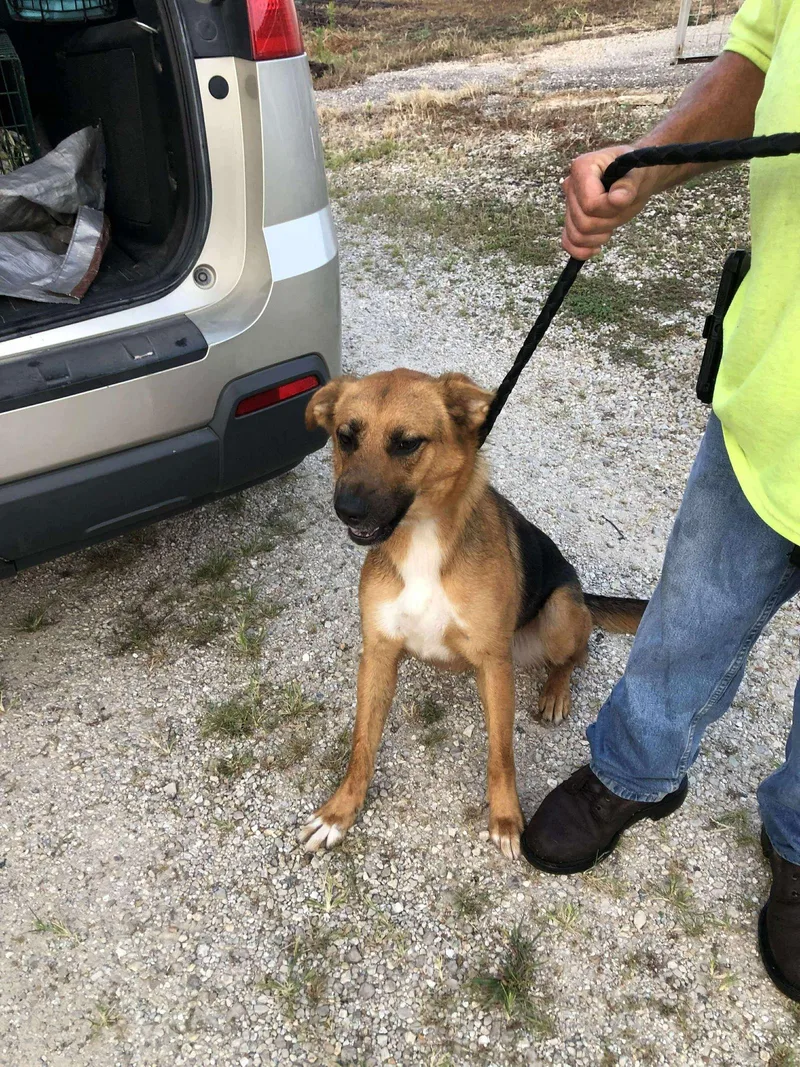 Charlotte thumbnail 2