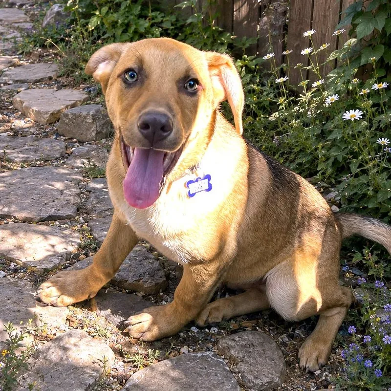 Otto thumbnail 3