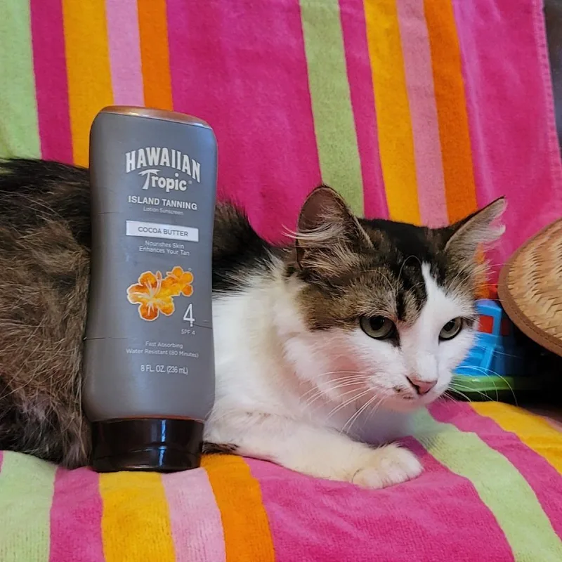Hawaiian Tropic thumbnail 2