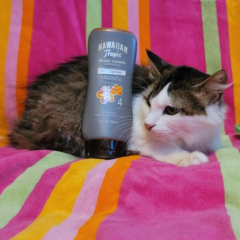 Hawaiian Tropic thumbnail 3