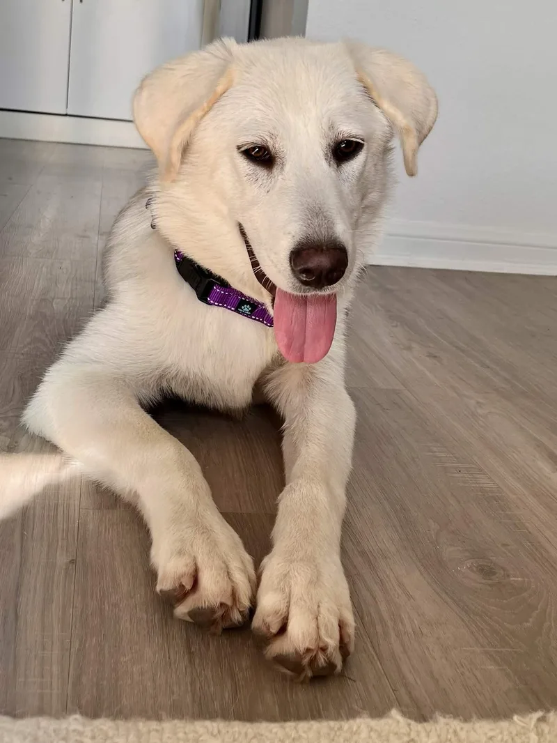 Fiona