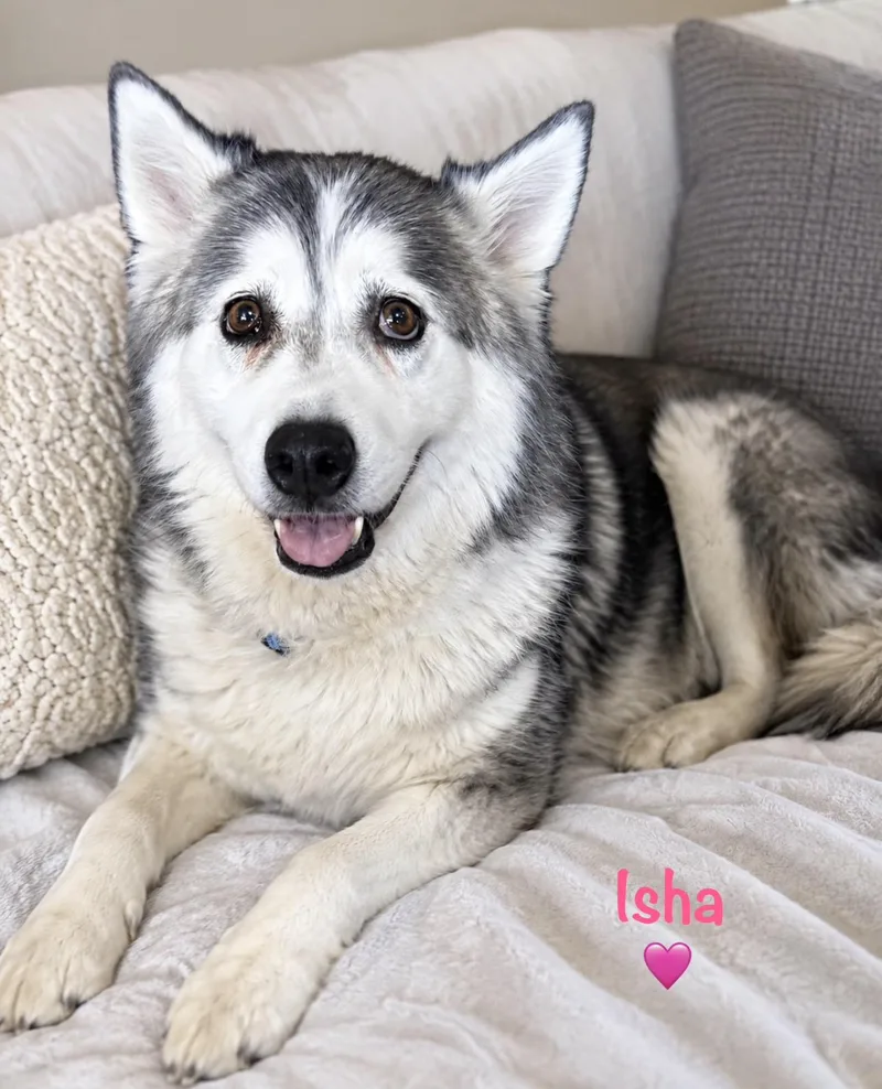 Isha thumbnail 3
