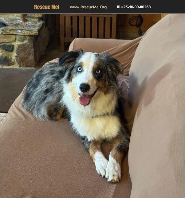 Cooper