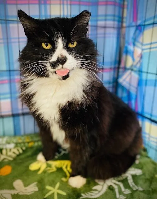 Jennings thumbnail 3