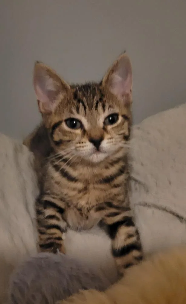 Winnie thumbnail 3