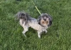 Darla thumbnail 2