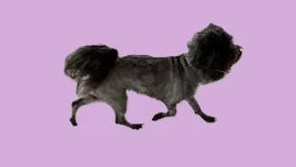 Darla thumbnail 5