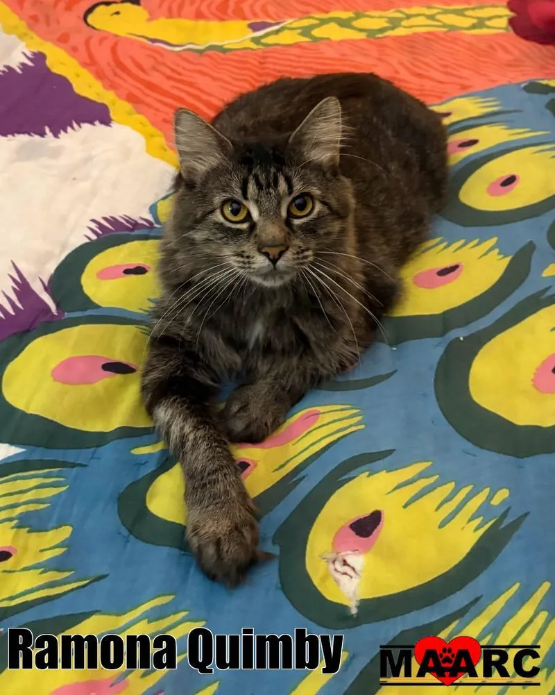 Ramona Quimby