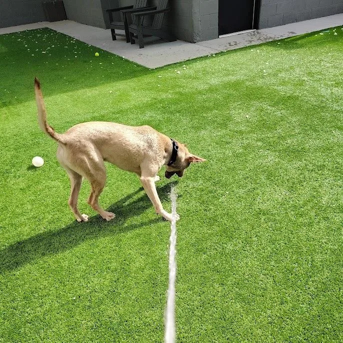 Earthworm Jim thumbnail 2