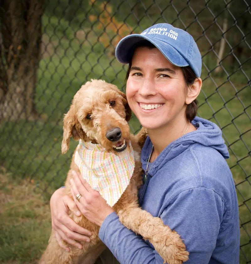 An adult small-sized male Golden Poodle dog named Whiskey for adoption in Hopkinton, MA