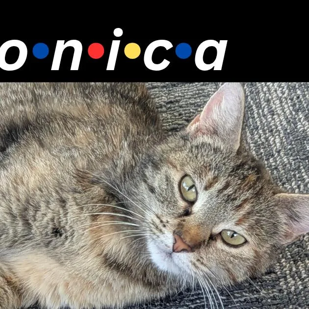 Monica thumbnail 2